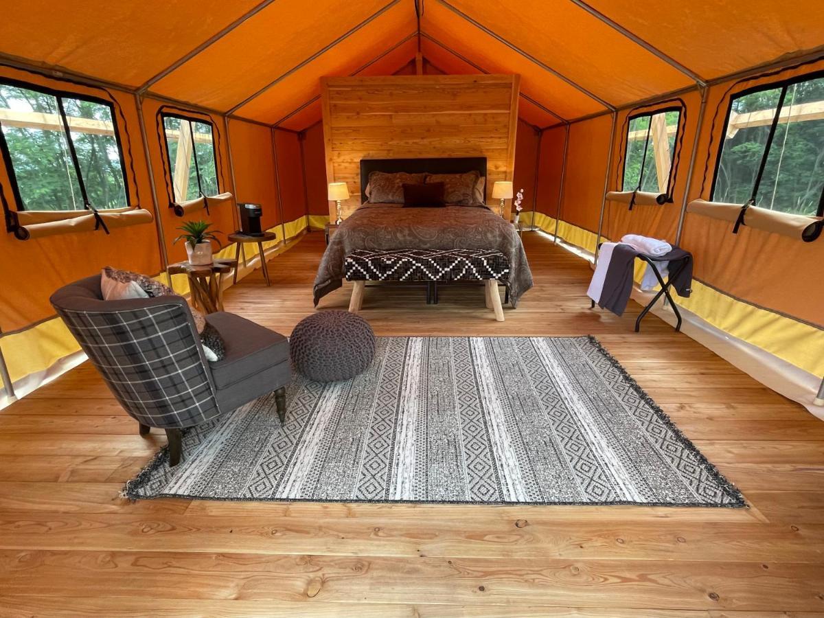 Naturluxe & Stars Watkins Glen Bagian luar foto